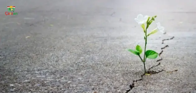 ئێدی چەوا دلتەنگ ببم؟