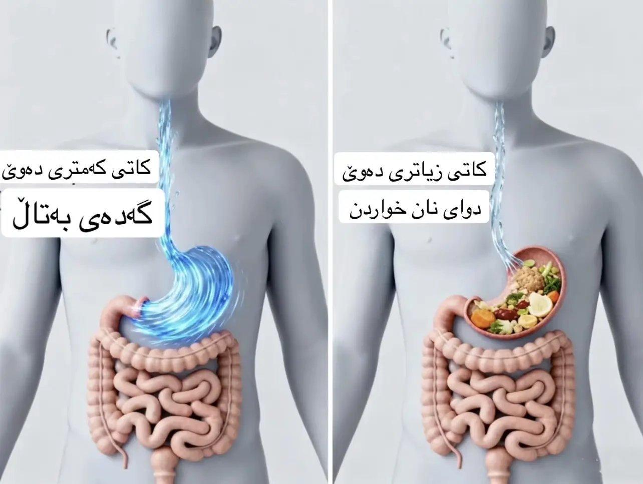 مانەوەی ئاو لە گەدەدا چەند کاتی پێوویستە؟