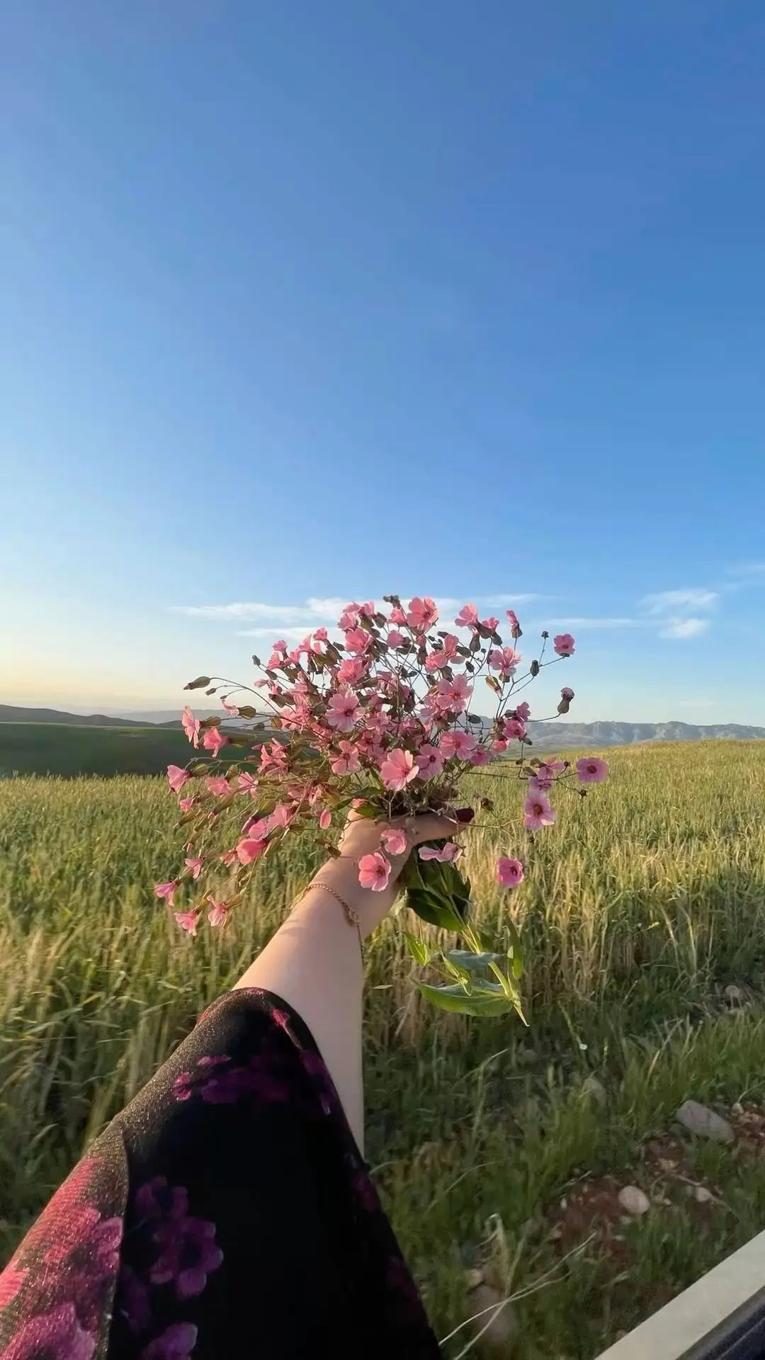 هەڤرس عبدی بابکر
